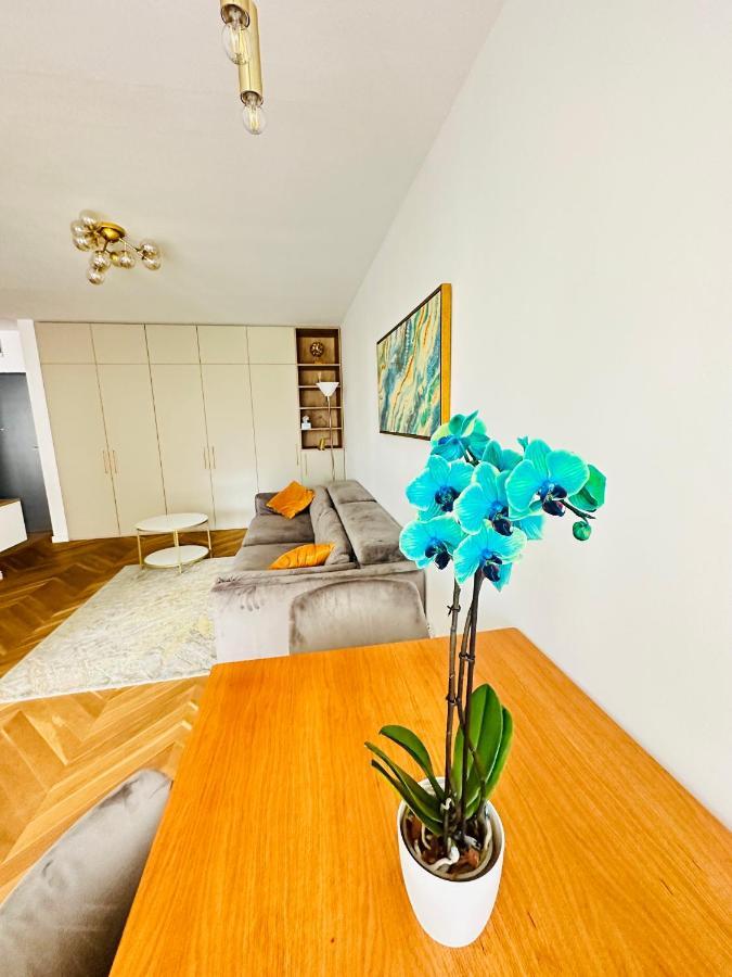 Bel Dom - The Central, Spacious 2 Rooms Luxury Apartment 克卢日-纳波卡 外观 照片