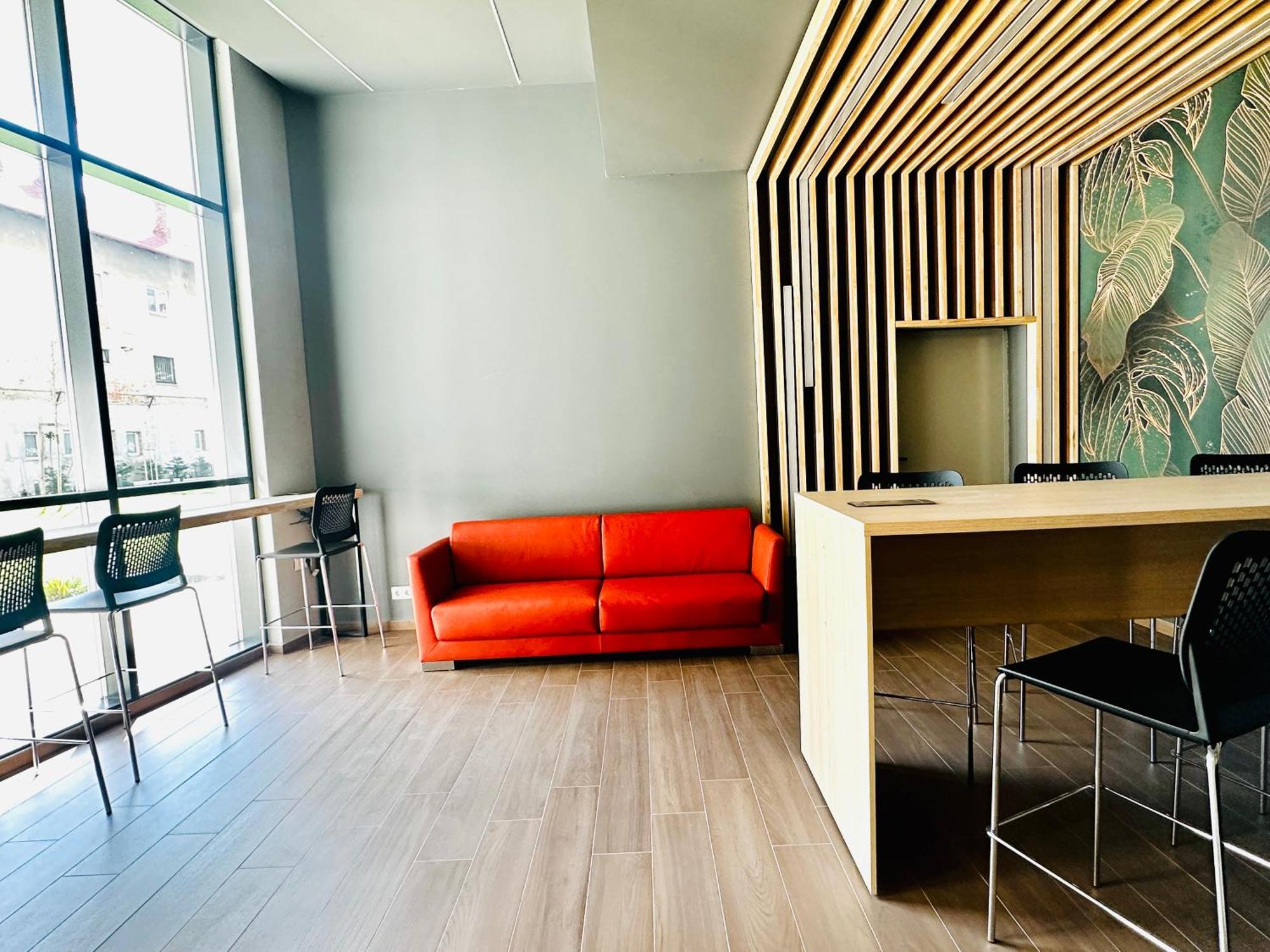 Bel Dom - The Central, Spacious 2 Rooms Luxury Apartment 克卢日-纳波卡 外观 照片